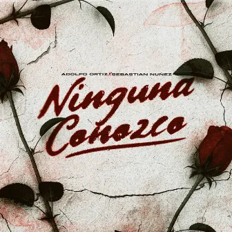 Ninguna Conozco by Adolfo Ortiz