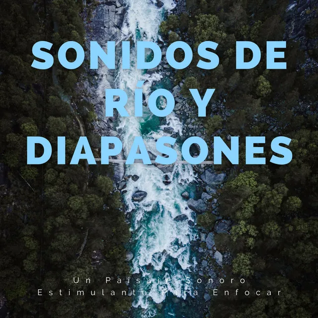 Sonidos De Río Y Diapasones: Un Paisaje Sonoro Estimulante Para Enfocar