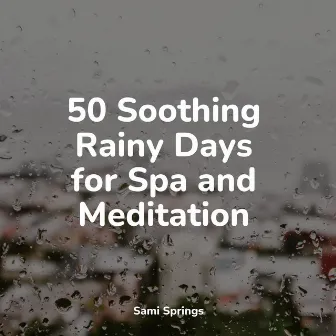 50 Soothing Rainy Days for Spa and Meditation by Brain Study Music Guys