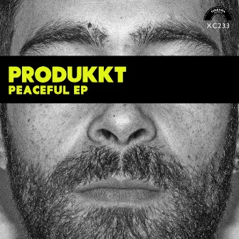 Peaceful EP by Produkkt