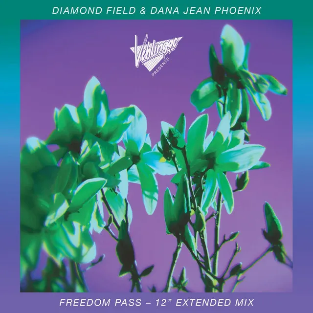 Freedom Pass - 12" Extended Mix