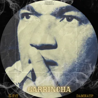 Garrincha by DAMNATP