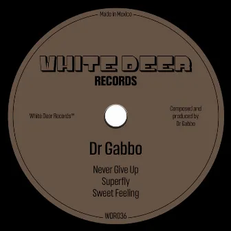 Superfly EP by Dr Gabbo