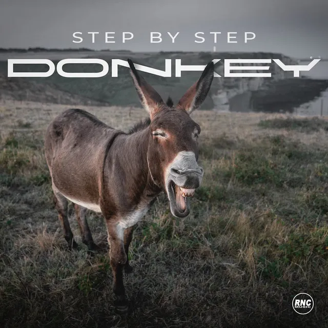 Donkey - Extended Mix