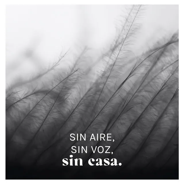 Sin Aire, Sin Voz, Sin Casa.