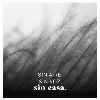 Sin Aire, Sin Voz, Sin Casa. by Elvira Sastre