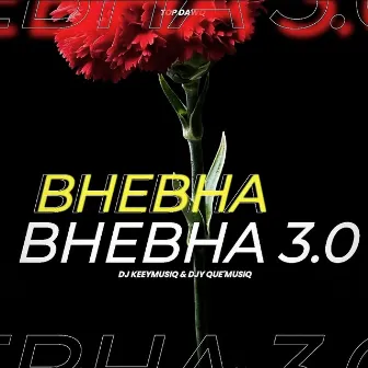 Bhebha 3.0 by Dj QueMusiQ