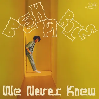 We Never Knew by Beharie