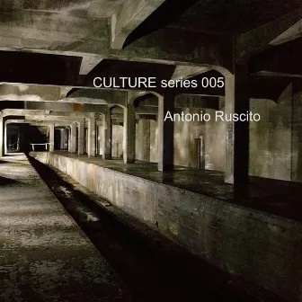 CULTURE Series 005 by Antonio Ruscito