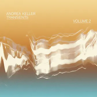 Transients, Vol. 2 by Andrea Keller