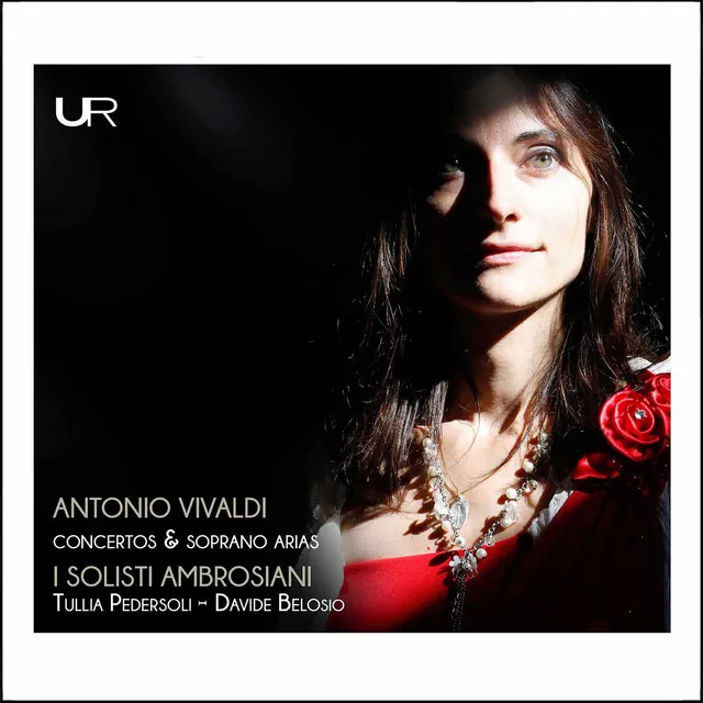 Viola d'amore Concerto in D Minor, RV 393: I. Allegro