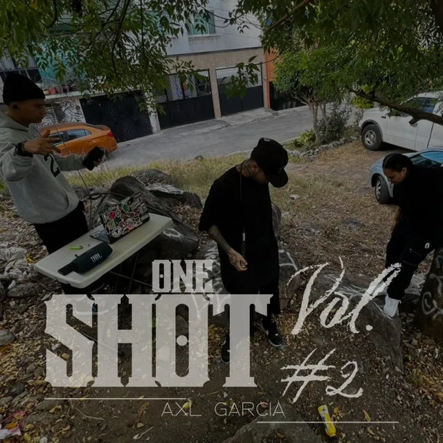 One Shot, Vol. 2