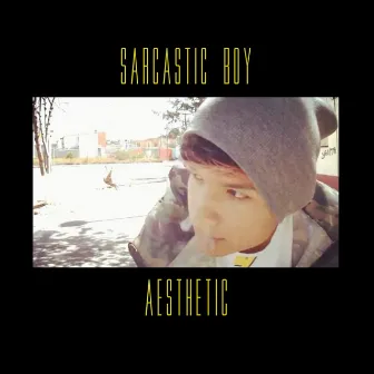 Aesthetic by Sarcastic Boy