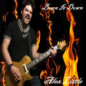 Burn It Down by Alex Little