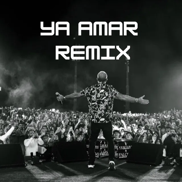 Ya Amar Remix