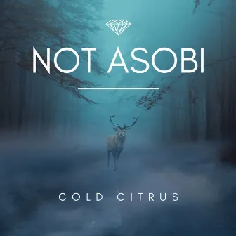 not ASOBI by Cold citru$