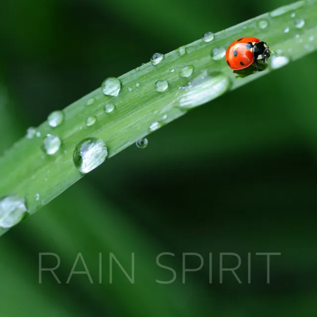 Rain Spirit