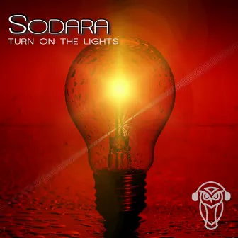 Turn on the Lights by Sodara (CH)