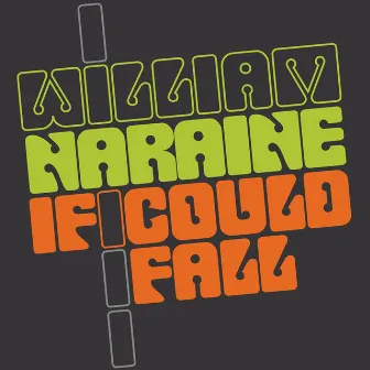 If I Could Fall (Remixes) by William Naraine