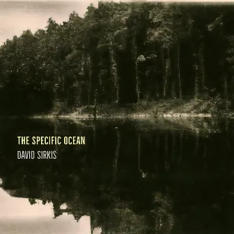 The Specific Ocean by David Sirkis