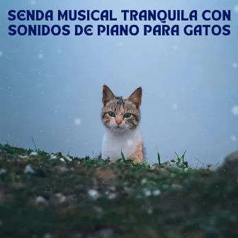 Senda Musical Tranquila Con Sonidos De Piano Para Gatos by Jazz instrumental italiano