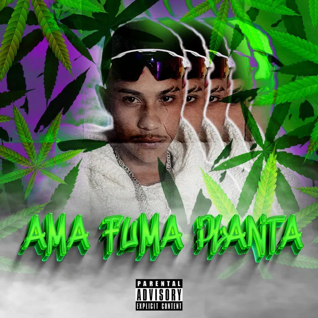 Ama Fuma Planta