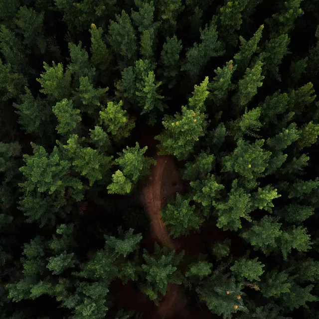 Ruído de sono rosa de meditação