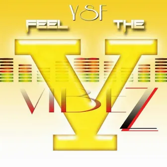 Feel The Vibez by YSF