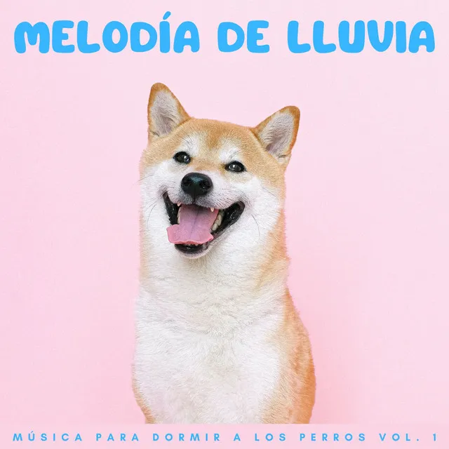 Melodía De Lluvia: Música Para Dormir A Los Perros Vol. 1