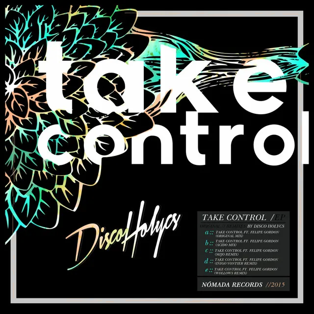 Take Control ft. Felipe Gordon - Acido Mix