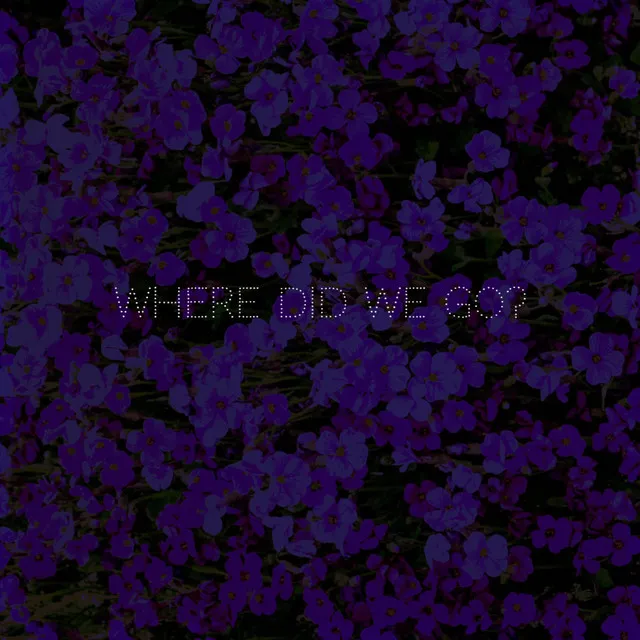 Where did we go?