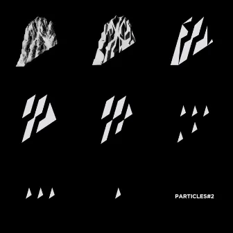 Particles, Vol. 2 by CATTANEO