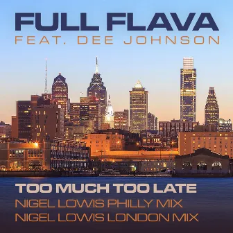 Too Much Too Late (Nigel Lowis Remixes) by Nigel Lowis