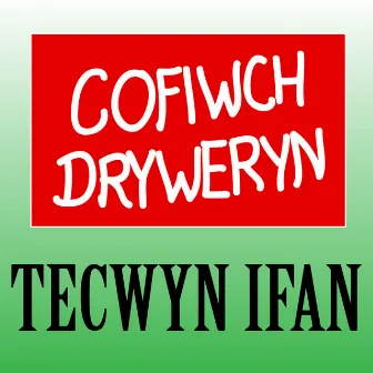 Cofiwch Dryweryn (Yn Fyw) by Tecwyn Ifan