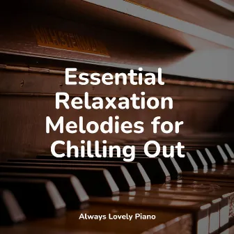 50 Best Soothing Piano Melodies by Concentration Study