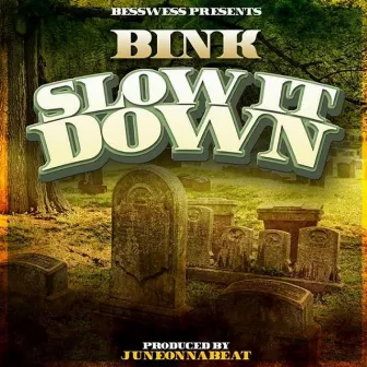 Slow It Down by 510Bink