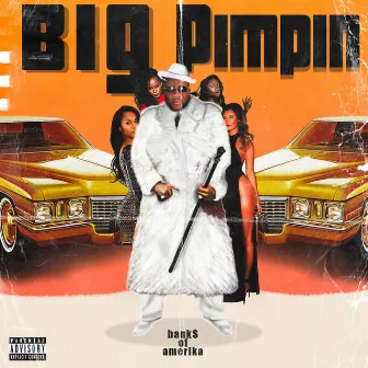 Big Pimpin by Bank$ of Amerika