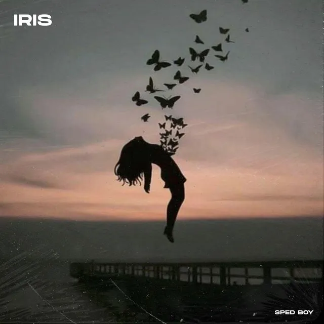 Iris (Remix) [Sped Up]