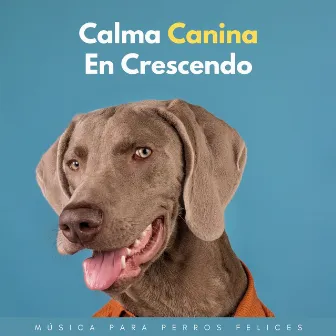 Calma Canina En Crescendo: Música Para Perros Felices by 