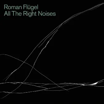 All The Right Noises by Roman Flügel