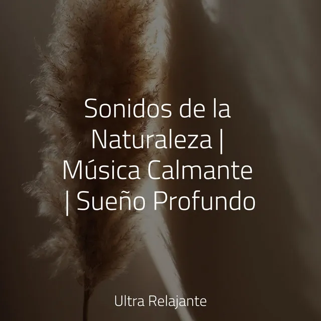 Canción De Cuna Pura