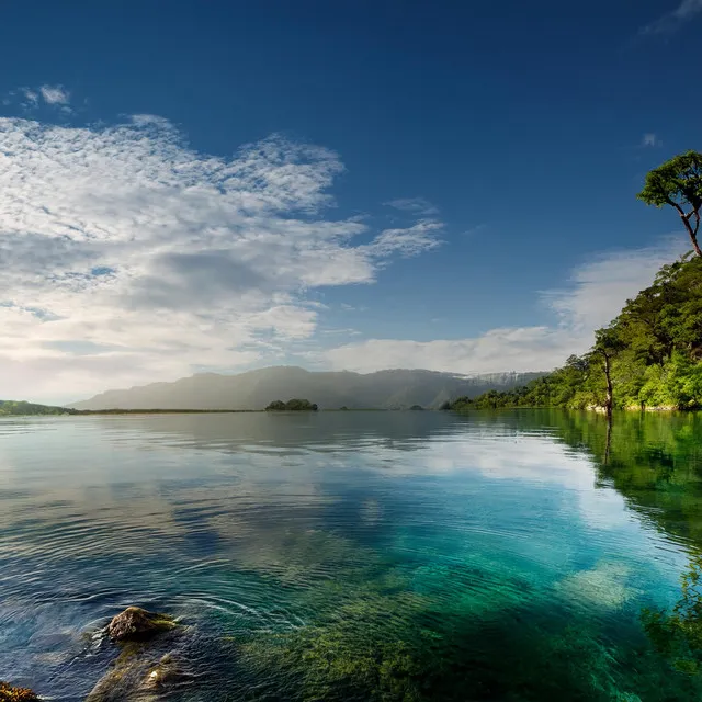 Reflections in the Evening Mist