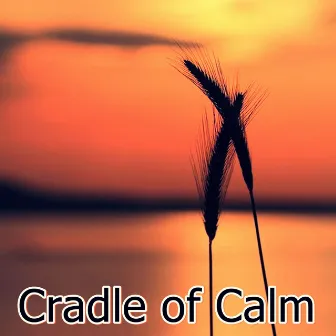 Cradle of Calm by A Lonely Pianist