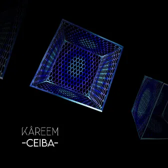 CEIBA (Versión instrumental) by Kâreem