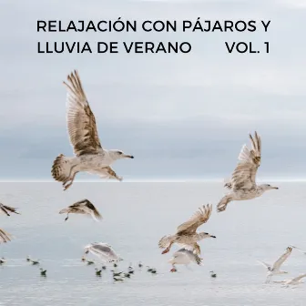 Relajación Con Pájaros Y Lluvia De Verano Vol. 1 by Sonidos de pájaros suecos