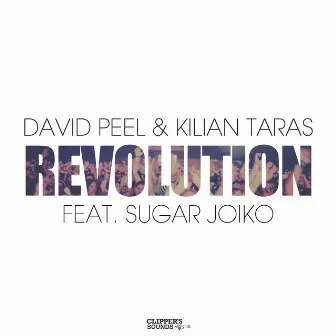 Revolution by David Peel