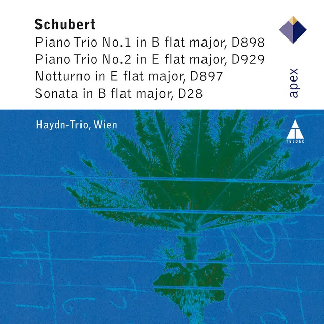 Schubert: Piano Trio No. 1 in B-Flat Major, Op. 99, D. 898: II. Andante un poco mosso