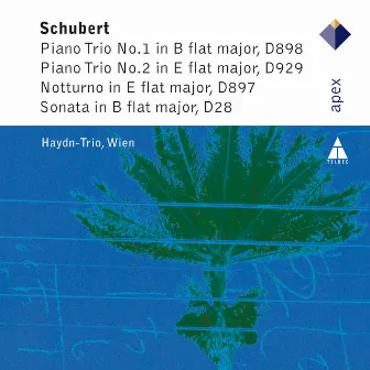 Schubert : The Piano Trios (APEX) by Haydn Trio Wien