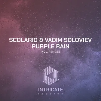 Purple Rain by Vadim Soloviev