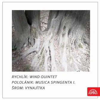 Rychlík: Wind Quintet - Pololánik: Musica spingenta I. - Šrom: Vynajítka by The Czech Philharmonic Wind Quintet